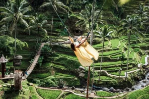 6eba7a3d 63bc 4e80 ae37 7406f56cde59 ubud tour and jungle swing coffee plantation xlarge