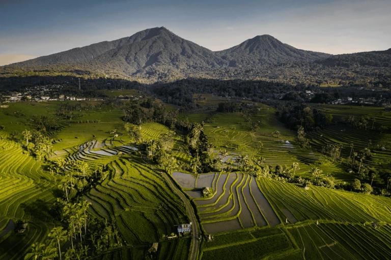 DJI 0792 768x512
