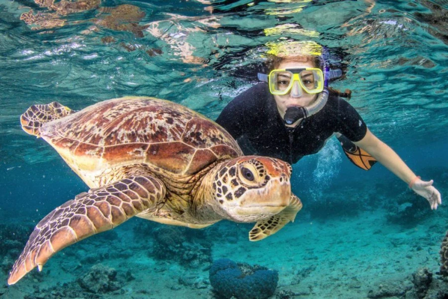 Gili Trawangan Snorkeling Day Trip