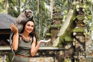 monkey forest