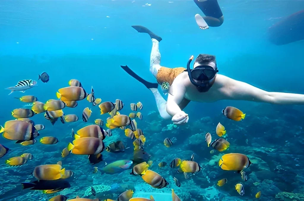 snorkeling in wall point gamat bay and manta bay nusa penida island DMtOd