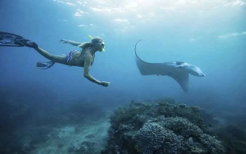 snorkeling manta bay nusa penida bali