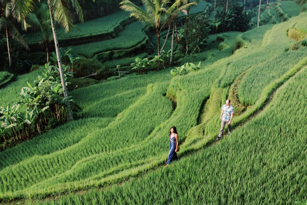 tegalalang rice terraces photo spots 15
